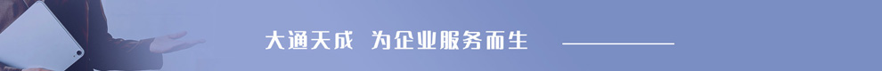 大通天成，為企業(yè)服務(wù)而生。