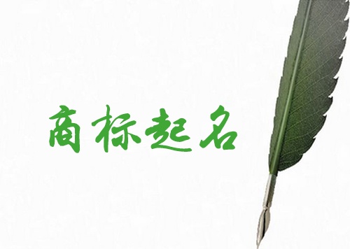 商標(biāo)注冊(cè)名稱